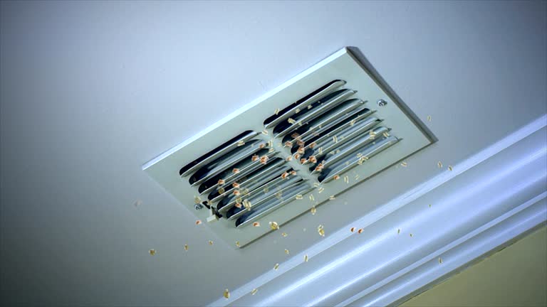  Paulina, LA Airduct Cleaning Pros