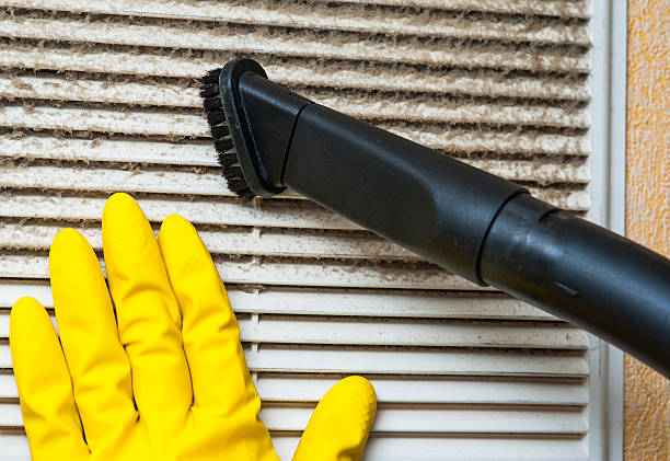 Best Local Air Duct Cleaning Services  in Paulina, LA